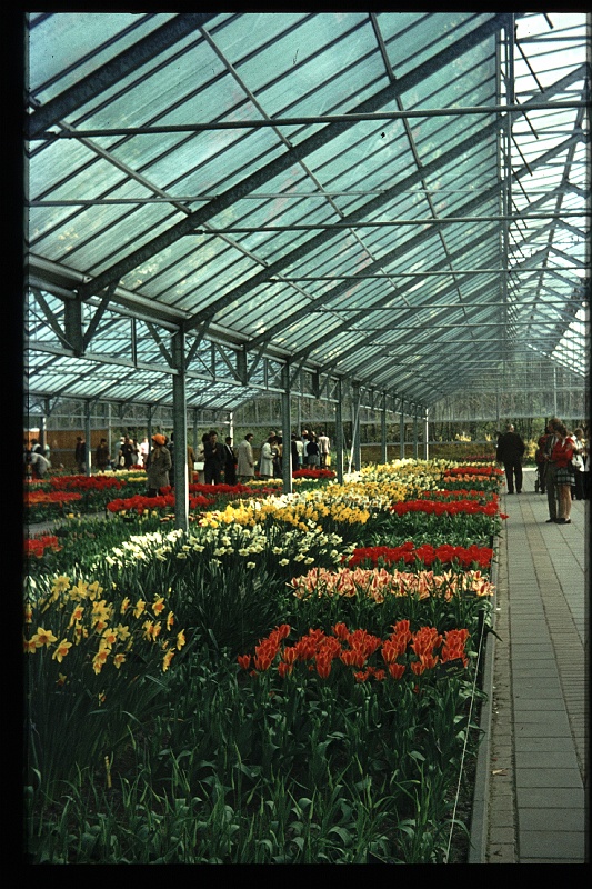 07.Keukenhof apr 1973.JPG